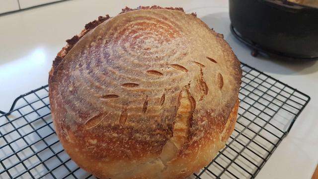 a round loaf of sourdough. its crust shows the circle pattern from the proving basket it sat in overnight, and there is a wheat stem shaped score mark across the side.