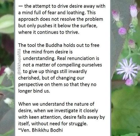 — the attempt to drive desire away with a mind full of fear and loathing. This approach does not resolve the problem but only pushes it below the surface, where it continues to thrive.
The tool the Buddha holds out to free the mind from desire is understanding. Real renunciation is not a matter of compelling ourselves to give up things still inwardly cherished, but of changing our perspective on them so that they no longer bind us.
When we understand the nature of desire, when we investigate it closely with keen attention, desire falls away by itself, without need for struggle.
~Ven. Bhikkhu Bodhi
