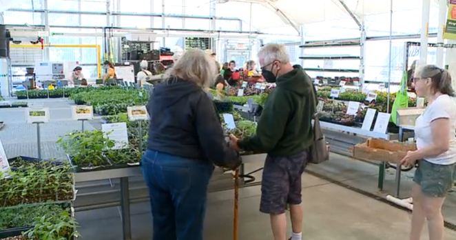 Annual plant sale supports youth gardening programs in La Crosse community | News
