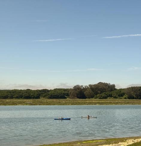 two canoes paddling through Elkhorn Slough