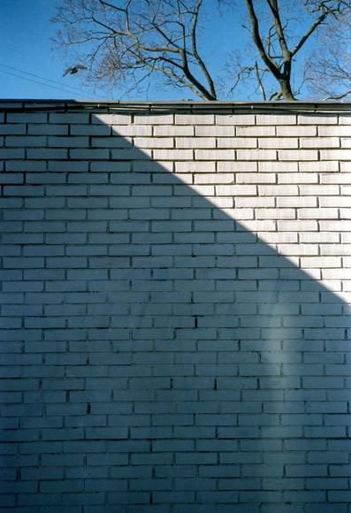 There is an oblique shadow on the white brick wall. Above the wall is a blue sky and a flying pigeon.