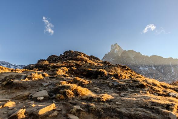 Berg