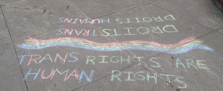 TRANS RIGHTS ARE HUMAN RIGHTS
DROITS TRANS DROITS HUMAINS

In colourful Rainbow ROYGBIV and trans flag pink/white/blue coloured chalk on concrete.