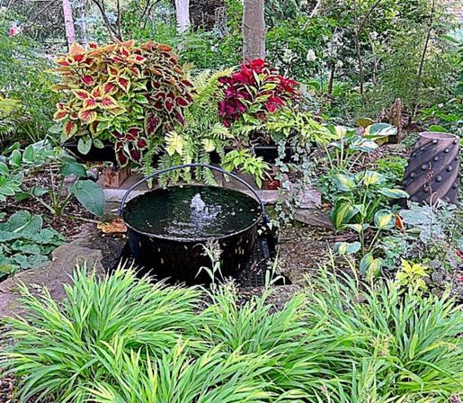 A shade garden with hostas, Solomon seal, and coleus grown in pots.