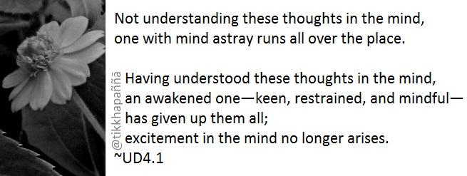 Not understanding these thoughts in the mind,
one with mind astray runs all over the place.
Having understood these thoughts in the mind,
an awakened one—keen, restrained, and mindful—
has given up them all;
excitement in the mind no longer arises.
~UD4.1