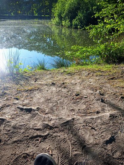 Am sandigen Ufer des Teich.