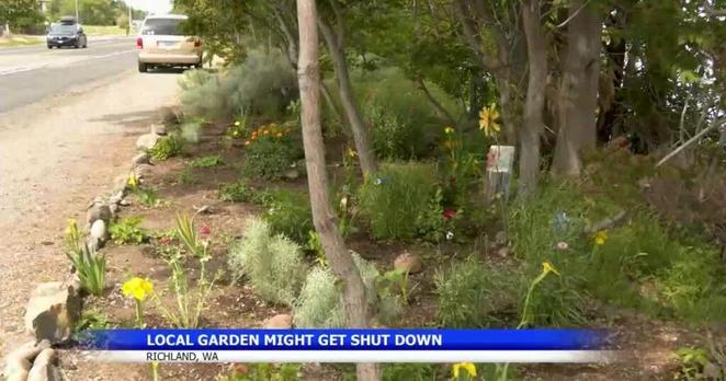 Richland man's garden faces uncertain future after city notice | News