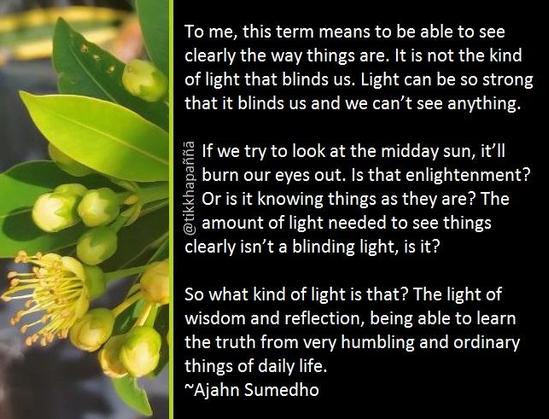 To me, this term means to be able to see clearly the way things are. It is not the kind of light that blinds us. Light can be so strong that it blinds us and we can’t see anything.
If we try to look at the midday sun, it’ll burn our eyes out. Is that enlightenment? Or is it knowing things as they are? The amount of light needed to see things clearly isn’t a blinding light, is it?
So what kind of light is that? The light of wisdom and reflection, being able to learn the truth from very humbling and ordinary things of daily life.
~Ajahn Sumedho