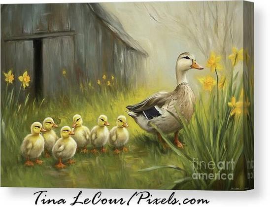 This is a canvas of a mother duck with 6 of her ducklings in some spring daffodil flowers with a gray barn in the background.