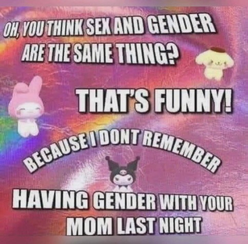 "oh you think sex and gender are the same thing? that's funny! because i don't remember having gender with your mom last night"