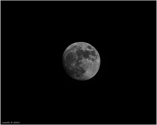 Ein fast voller Mond, es fehlt noch ein wenig an der linken Seite der Mondscheibe. Am linken Rand sind sehr gut Mondkrater zu erkennen.

400 mm + 2 x Converter, Kontraste erhöht