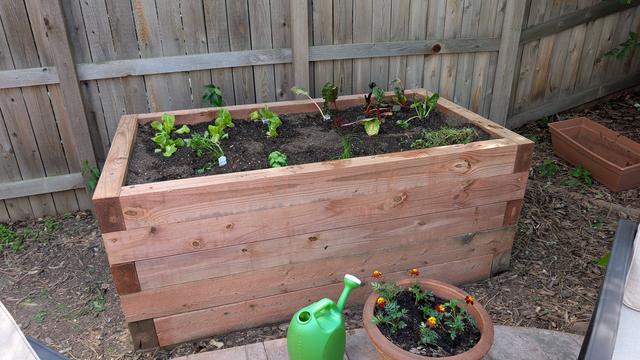 Raised planter built of 4x6 5 courses high, filled with soil and has some new plants. There is a wooden fence in the background and a pot of freshly planted marigolds in front of the raised bed