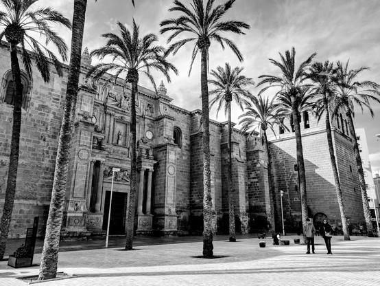 This black and white photograph captures a grand, aged stone cathedral, flanked by several tall palm trees. The building's facade is intricate, showing architectural details such as arched doorways, columns, and what appear to be statues or decorative elements within niches. The stone has a weathered texture, suggesting its age.
Several slender palm trees with their characteristic fronds extend upwards, some positioned in front of the building, partially obscuring it, and others to the side. The trunks of the palm trees are textured.
The ground in front of the building is paved with rectangular stones or tiles, creating a patterned surface that leads the eye towards the structure. Two figures, appearing small in comparison to the building, stand to the right side of the frame on the paved area.
The sky above is overcast with clouds, providing a soft, diffused light that casts shadows from the palm trees onto the ground.