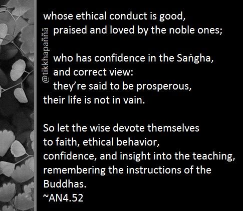 whose ethical conduct is good,
praised and loved by the noble ones;
who has confidence in the Saṅgha,
and correct view:
they’re said to be prosperous,
their life is not in vain.
So let the wise devote themselves
to faith, ethical behavior,
confidence, and insight into the teaching,
remembering the instructions of the Buddhas.
~AN4.52