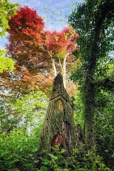 A low-angle shot shows a small, whimsical cottage carved into the base of a moss-covered tree stump. The cottage has a pointed roof, a small arched red door, and a rectangular yellow window. It is surrounded by lush green foliage and taller trees, one with vibrant red leaves contrasting with the blue sky visible above.