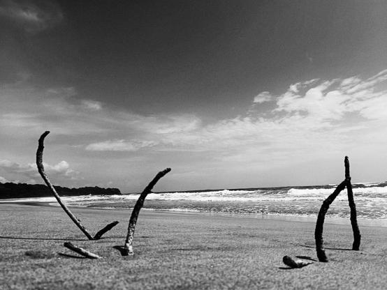 Dramatic black and white photograph. Small burnt twigs poke from the sand in foreground.