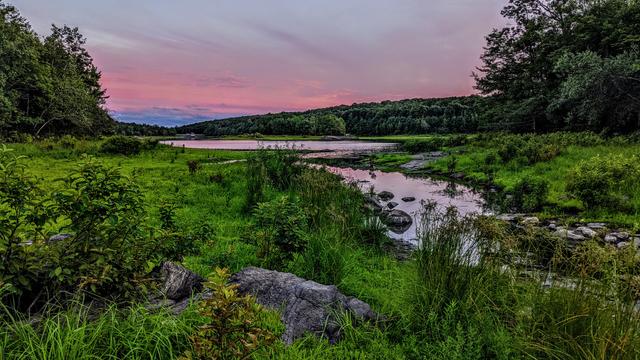 We are standing in a very green bog surrounding the slow moving inlet stream of a large lake in the background. The sun has set and much of the sky is tinted pink, reflected in the lake and stream below. The lake and bog are surrounded by forest. The bog is covered with lush green grasses, a few gray boulders and many tall water grasses and leafy shrubs. A line of clouds just along the far horizon is tinted slightly blue. Some scattered clouds in the mostly clear sky above are tinted pink.