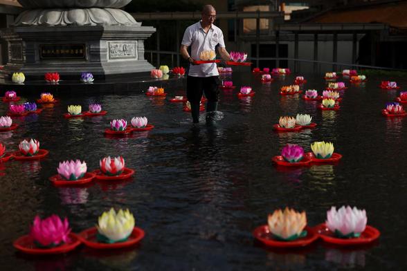 A temple volunteer lays out multicoloured candle offerings in the shape of lotus flowers on water during Vesak Day celebrations.