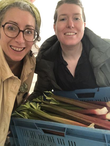 A veggie farmer with fresh harvest rhubarb