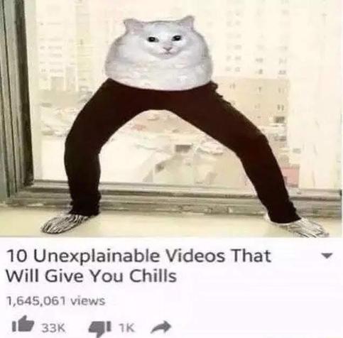 A humorous image featuring a cat with a round body and human-like legs, posed as if standing. The background shows a cityscape through a window, and there is text at the bottom promoting a video titled "10 Unexplainable Videos That Will Give You Chills”