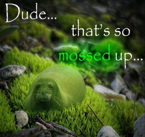 An edited image of a seal-like creature appearing green, lying on mossy ground, accompanied by playful text that reads, "Dude... that's so mossed up..."