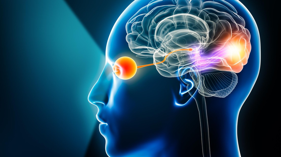 AI advances vision prosthetics for object-level sight restoration