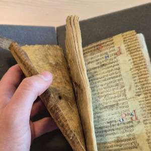 AI firms destroying antique books for data, sparking preservation concerns