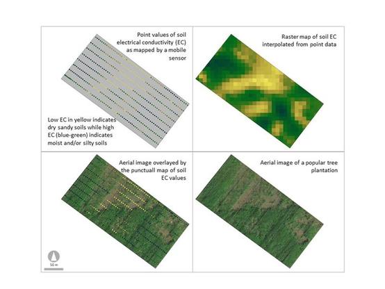 Exemplary soil map showing the correlation between electrical conductivity and vegetation.
