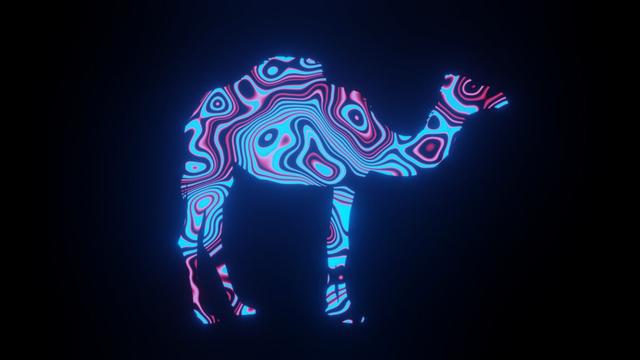 Illustration graphic of beautiful texture or pattern formation on the camel body shape, isolated on black background.