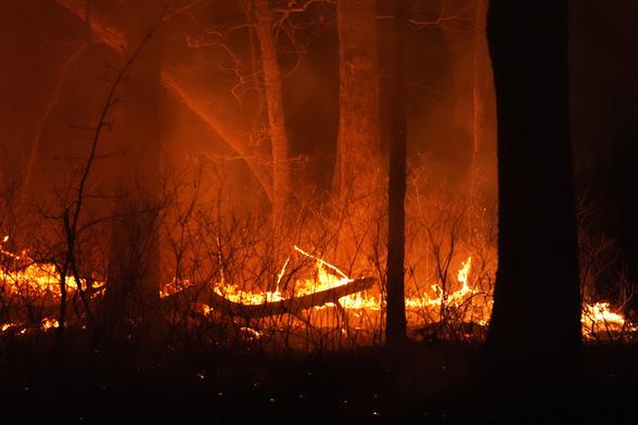 NJ fire