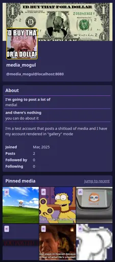 The new "gallery view" set on a GoToSocial profile, showing a three-column 'gram style layout of recent media by the account.