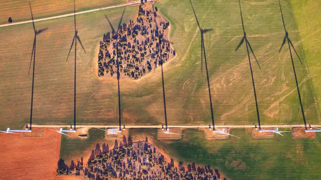 A row of wind turbines leave long shadows over an agricultural field behind them.