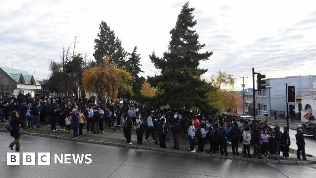 A large group of people stood around tress outside in Punta Arenas.