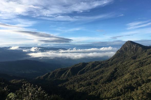 Forest and mountains in Colombia