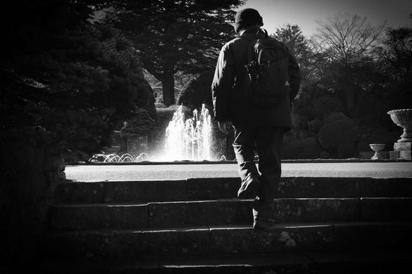 Black and white photo of a man (taken from behind) walking up some steps towards a fountain.