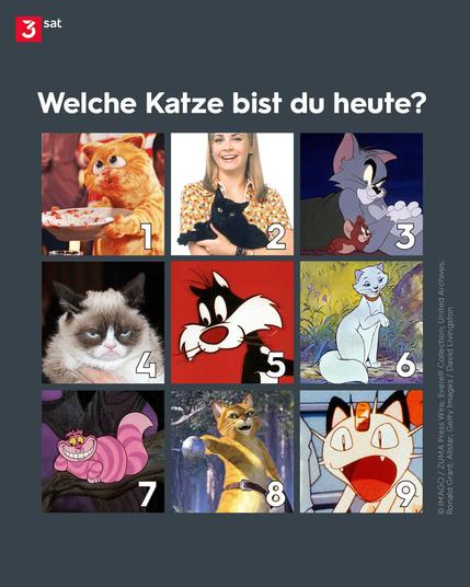 Bildbeschreibung: Collage mit verschiedenen Katzen aus der Popkulturgeschichte. Von links nach rechts und von oben nach unten zu sehen: Garfield, Salem Saberhagen, Tom, Grumpy, Cat, Sylvester, Duchesse, Grinsekatze, Gestiefelter Kater, Mauzi.
