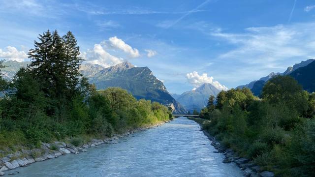 Swiss river cleanup Sets a Global Example