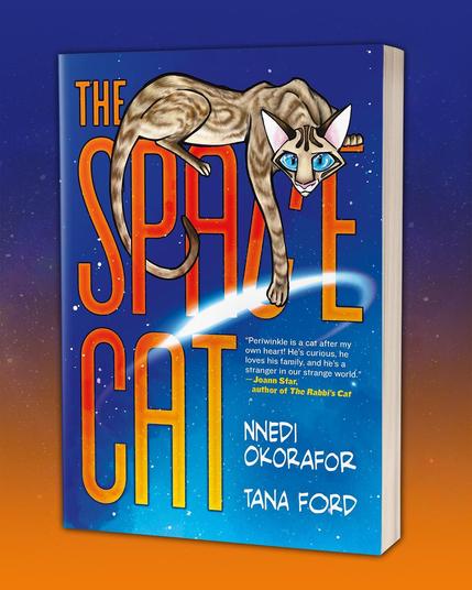 THE SPACE CAT