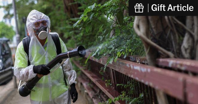 A worker sprayed insecticide following reports of chikungunya cases in Hong Kong earlier this month.