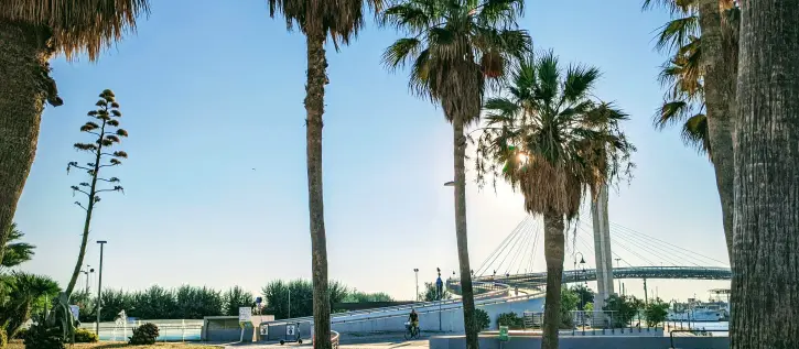 Django on the Med 2026 in Pescara