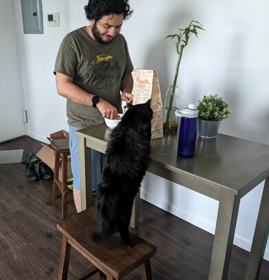 Brandon eating a bowl of chili with chips while Café the cat stands on a chair leaning over to see what Brandon is eating