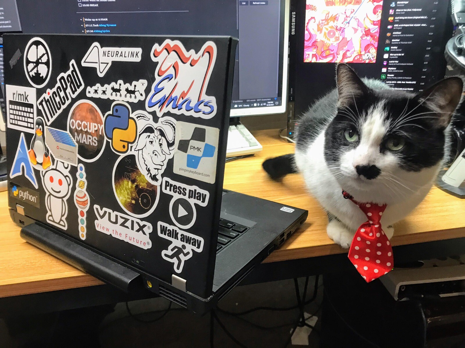 "A cat wearing a tiny \"tie\" sits atop an office desk next to a laptop peppered with many Free Software stickers, clearly a hacker's laptop. (Not mine)"