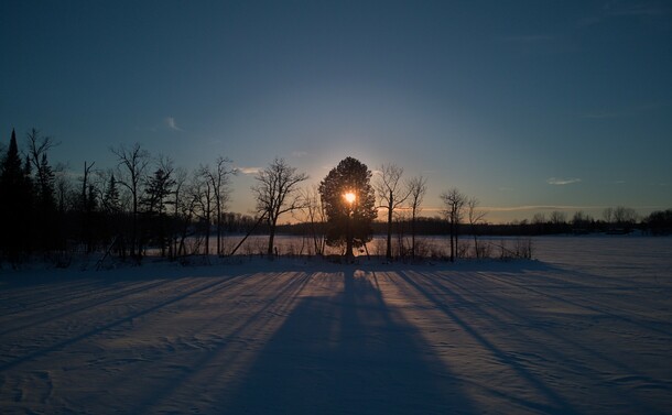 It is almost sundown and the sun is shining directly through a small pine tree that is on a pennesula in the middle of a frozen lake. The sun is casting shadows directly at the camera.