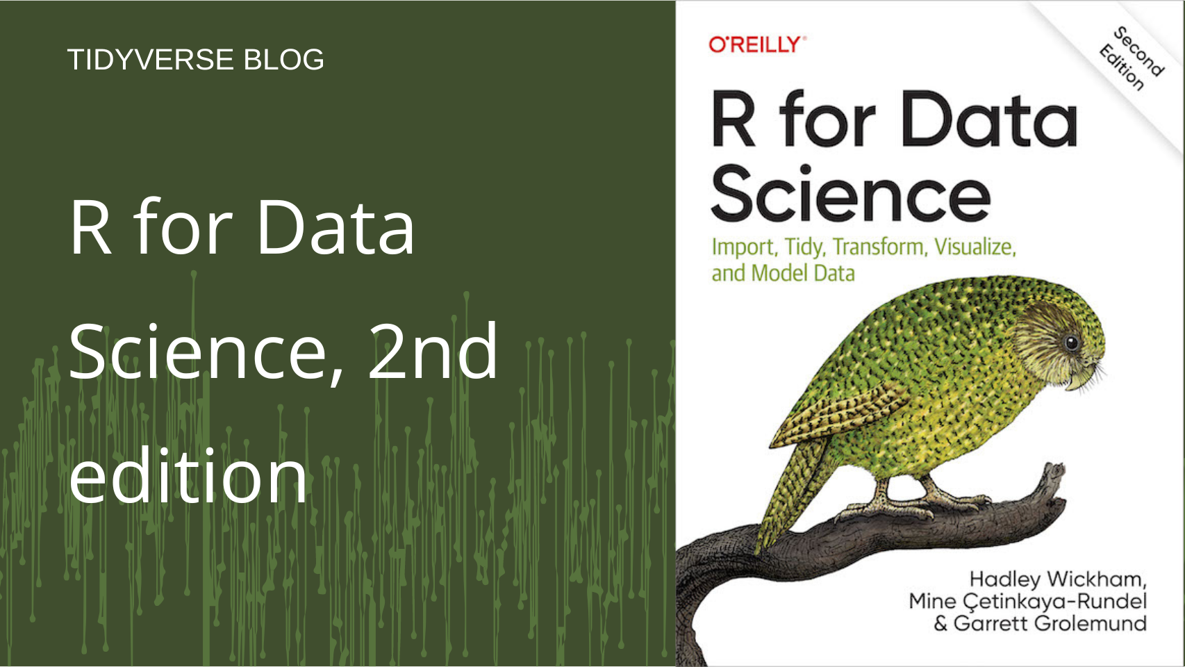 Text: "Tidyverse Blog, R for Data Science, 2nd edition." On the right, the cover of the book. It reads: "R for Data Science: Import, Tidy, Transform, Visualize, and Model Data. O'Reilly book, second edition, by Hadley Wickham, Mine Cetinkaya-Rundel, and Garrett Grolemund." It also contains an image of the kākāpō, a critically endangered parrot native to New Zealand.