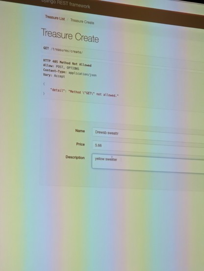 Capture of the Django REST framework create screen showing creating a new treasure named Drew's sweater, costing $5.66 and described as a yellow sweater