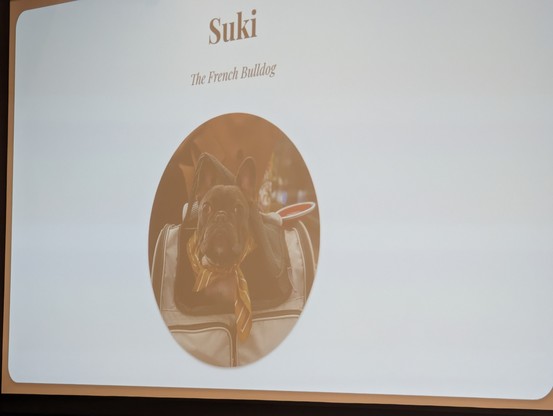 A slide showing Suki, Andrew Knight's French bulldog