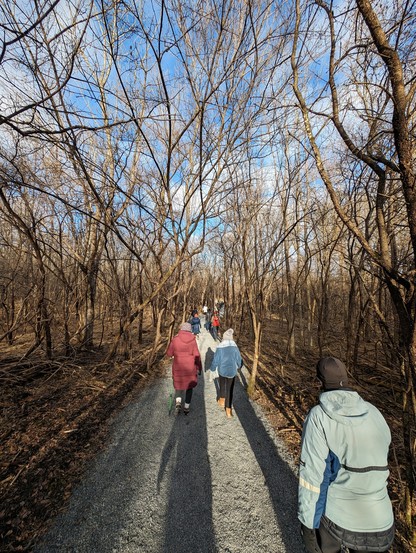 Hiking along a trail with others