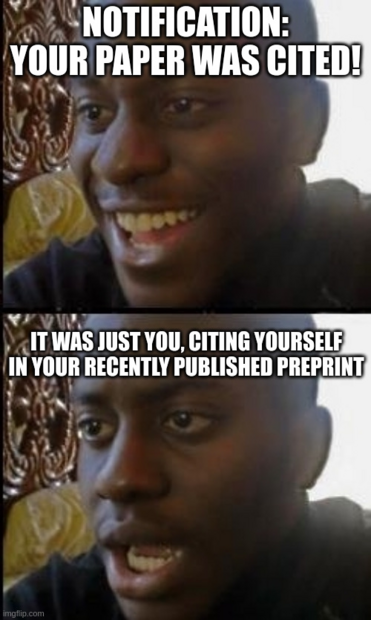 Disappointed black guy meme:

happy: „Notification: Your paper was cited!”

realising: „It was just you, citing yourself in your recently published preprint”