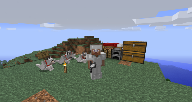 a minecraft world screenshot. a staerter base on a hill with 2 chests and a bed, surrounded by 4 dogs. the player is in iron armour.