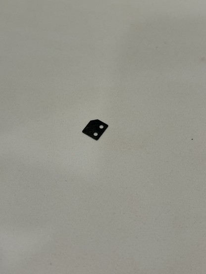 A small black plastic piece with that came out of the camera when I opened the door.
